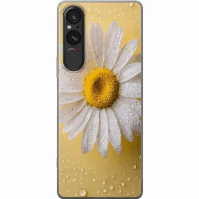 Billede af artikel A61550