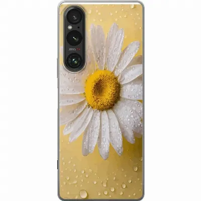 Billede af artikel A61307