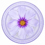 Billede af artikel C71470
