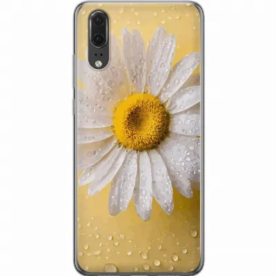 Billede af artikel A53024