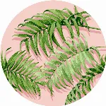 Billede af artikel C00691