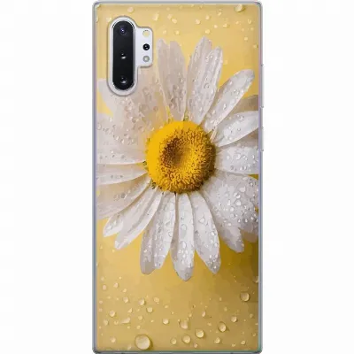 Billede af artikel A60605