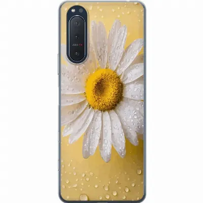 Billede af artikel A61388