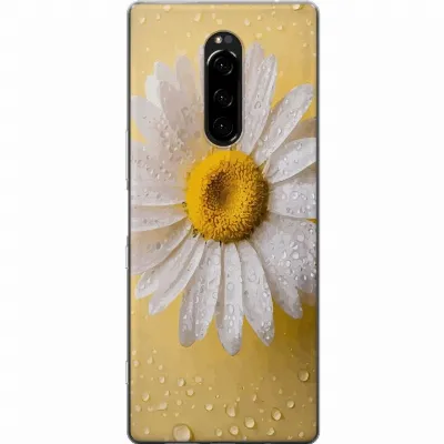 Billede af artikel A60794