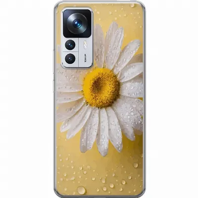 Billede af artikel A64034